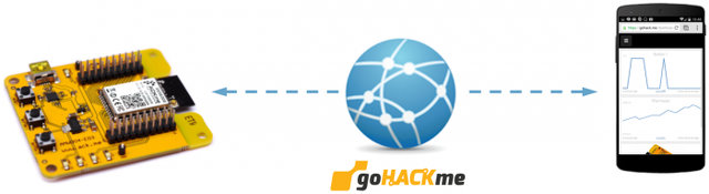 gohackme_network_diagram