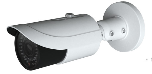 TD-9433T IP Camera