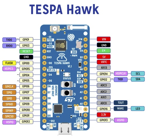 TESPA_Hawk_Pinout