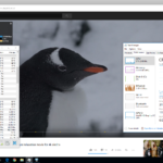 01-CD1M3128MK-windows-edge-browser-4k-video