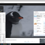 01-CD1P64GK-windows-edge-browser-4k-video