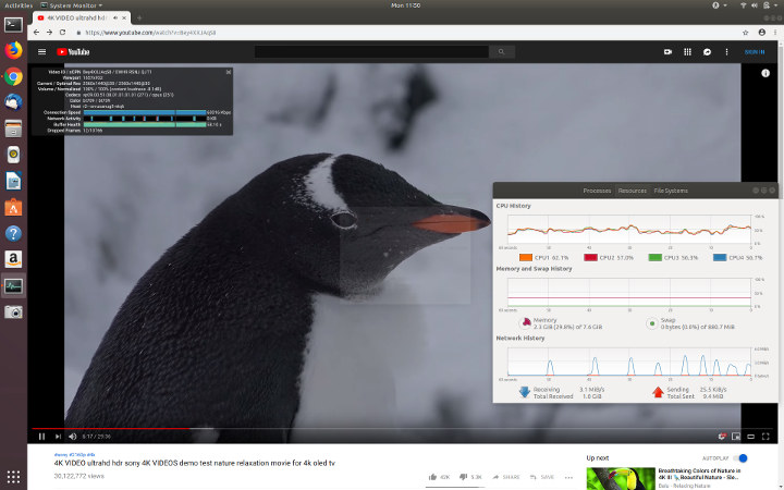 falcon-ubuntu-chrome-browser-4k-at-1440-video