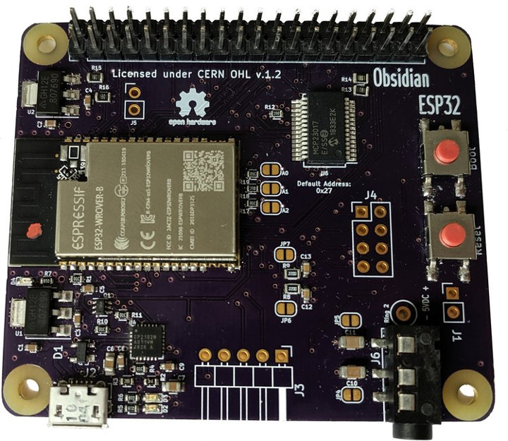 Obsidian ESP32 Raspberry Pi Board