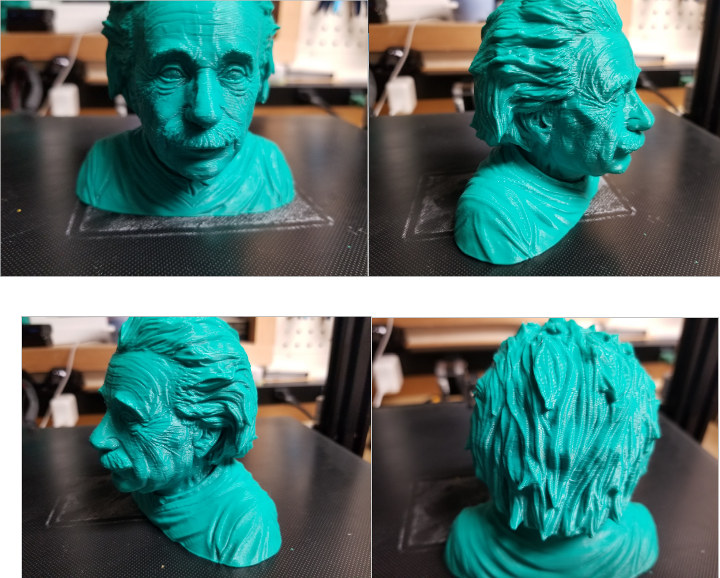 einstein 3d printed