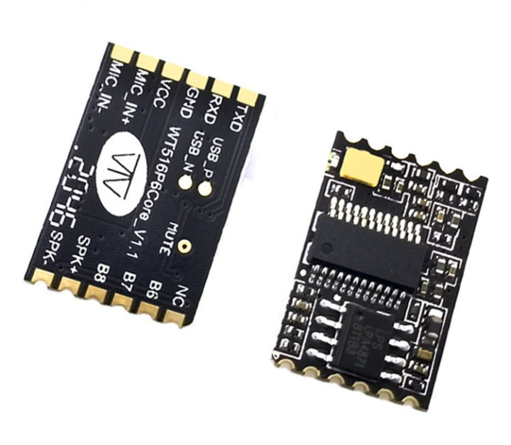 US516P6 offline voice module