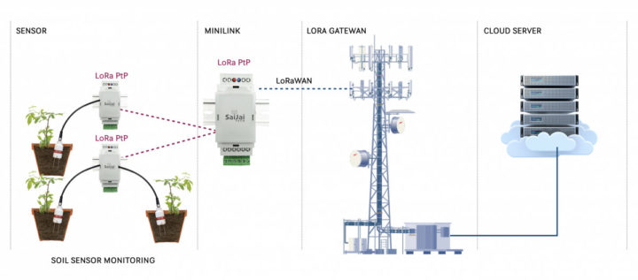 Smart Agriculture LoRa PtP