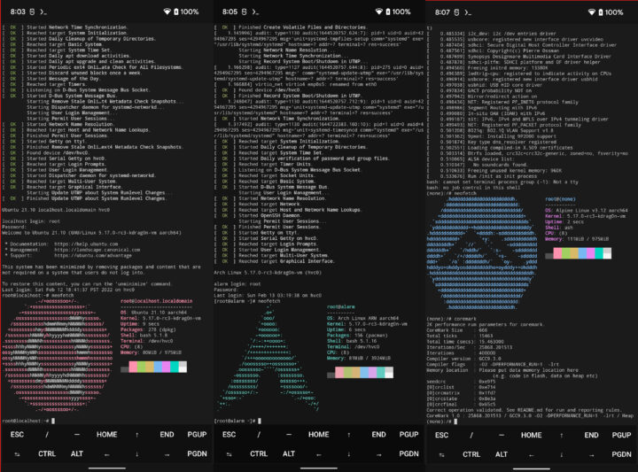 Android 13 virtualización Pixel 6 Linux