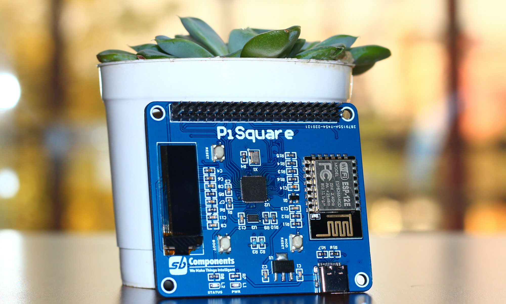 PiSquare Wireless Raspberry Pi HAT RP2040 & ESP8266