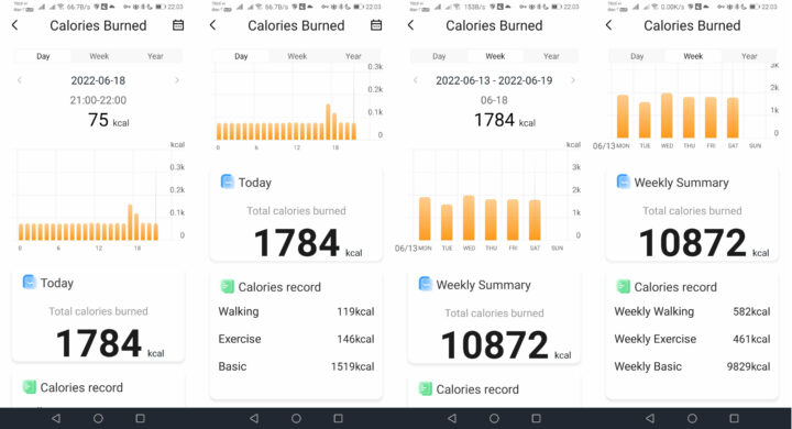 Bp Doctor Plus calories burned history