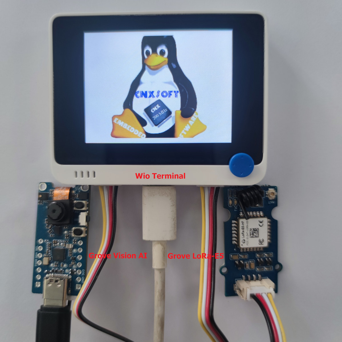 Wio Terminal Grove Vision AI LoRaWAN module