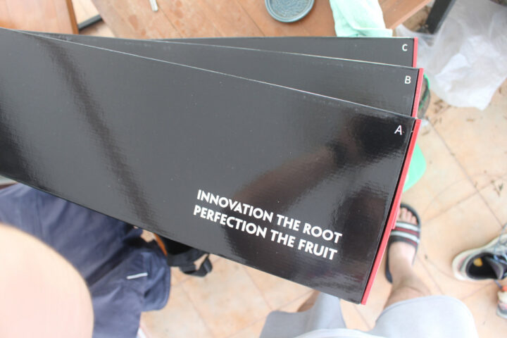 Innovation the root perfection the fruit