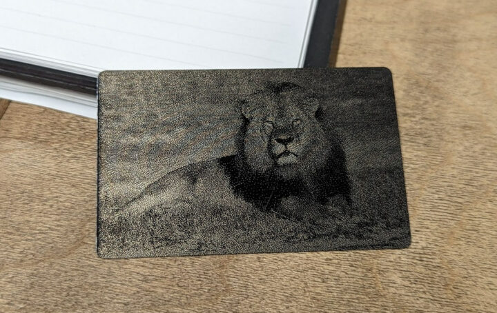 Lion image engraving