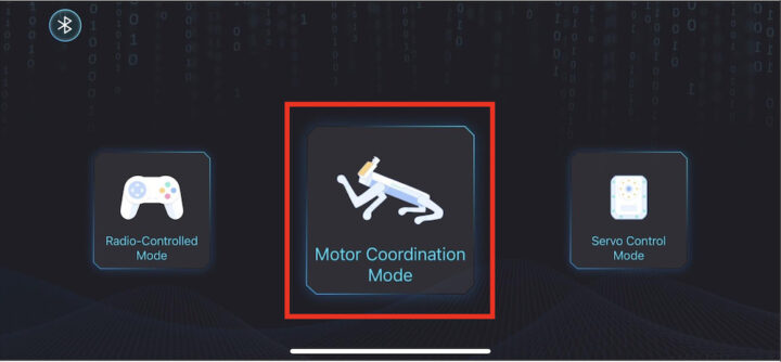 XGO Motor Coordination Mode