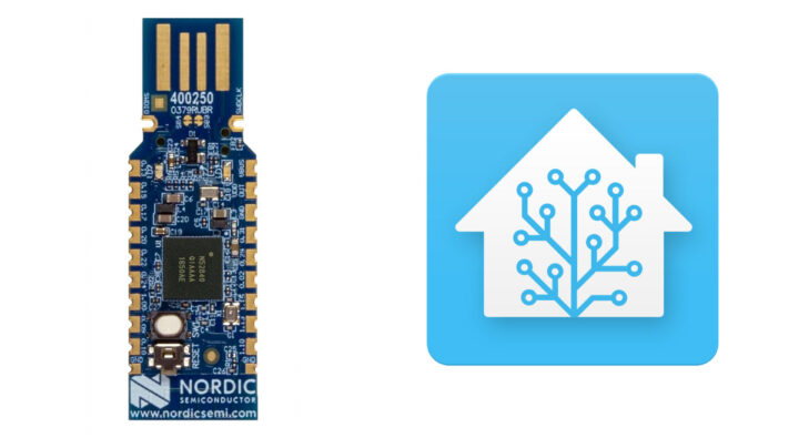 nRF52840 Home Assistant