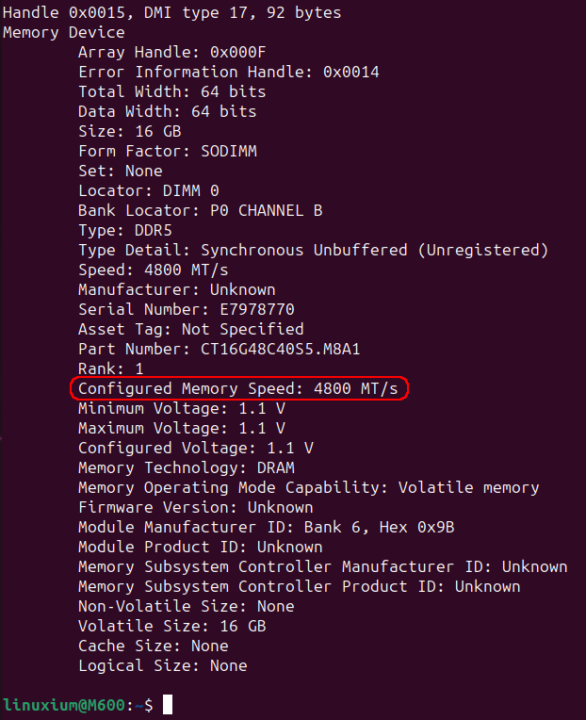 Ubuntu Memory Speed 4800MT per second