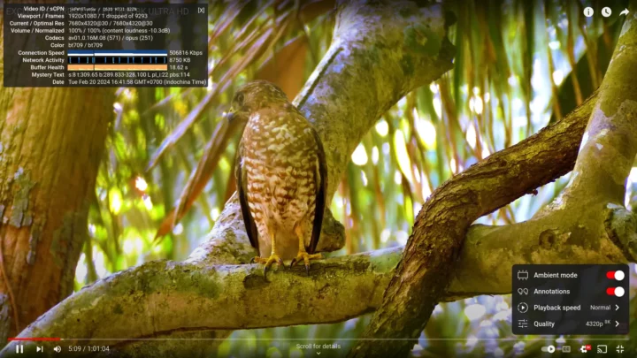 GEEKOM A7 YouTube 8K 30FPS Ubuntu Chrome