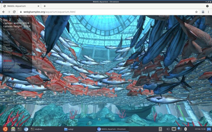 Testing WebGL Aquarium (30,000 fishes) on Purple Pi OH