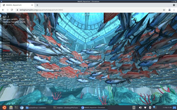 Testing WebGL Aquarium (30,000 fishes) on Purple Pi OH Pro
