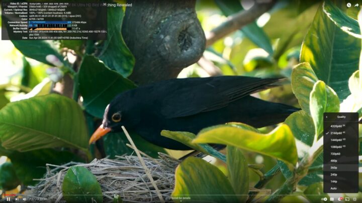 youtube 4k p60 GEEKOM XT12 Pro Ubuntu 24.04 Chrome