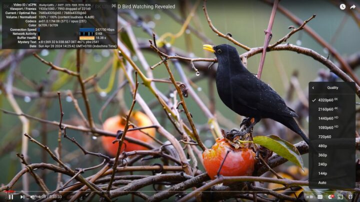 youtube 8K 60 FPS GEEKOM XT12 Pro Ubuntu 24.04 Chrome