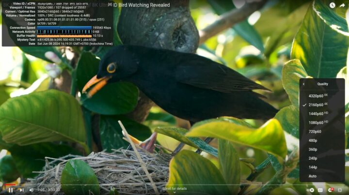 GEEKOM A8 Chrome Linux YouTube 4kp60