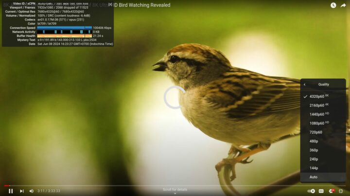 GEEKOM A8 Chrome Linux YouTube 8kp60