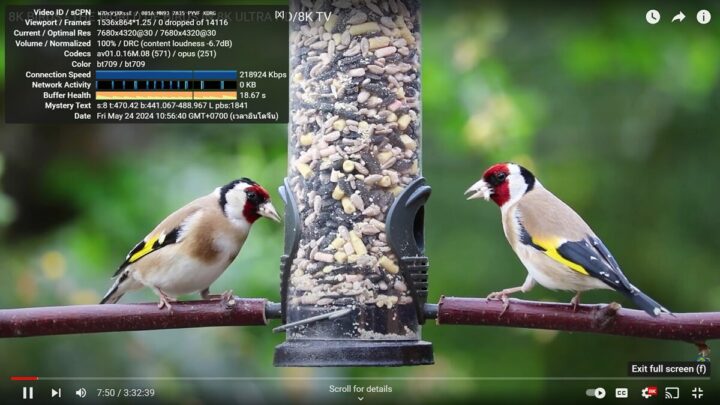 GEEKOM A8 Windows 11 YouTube 8K 30 FPS