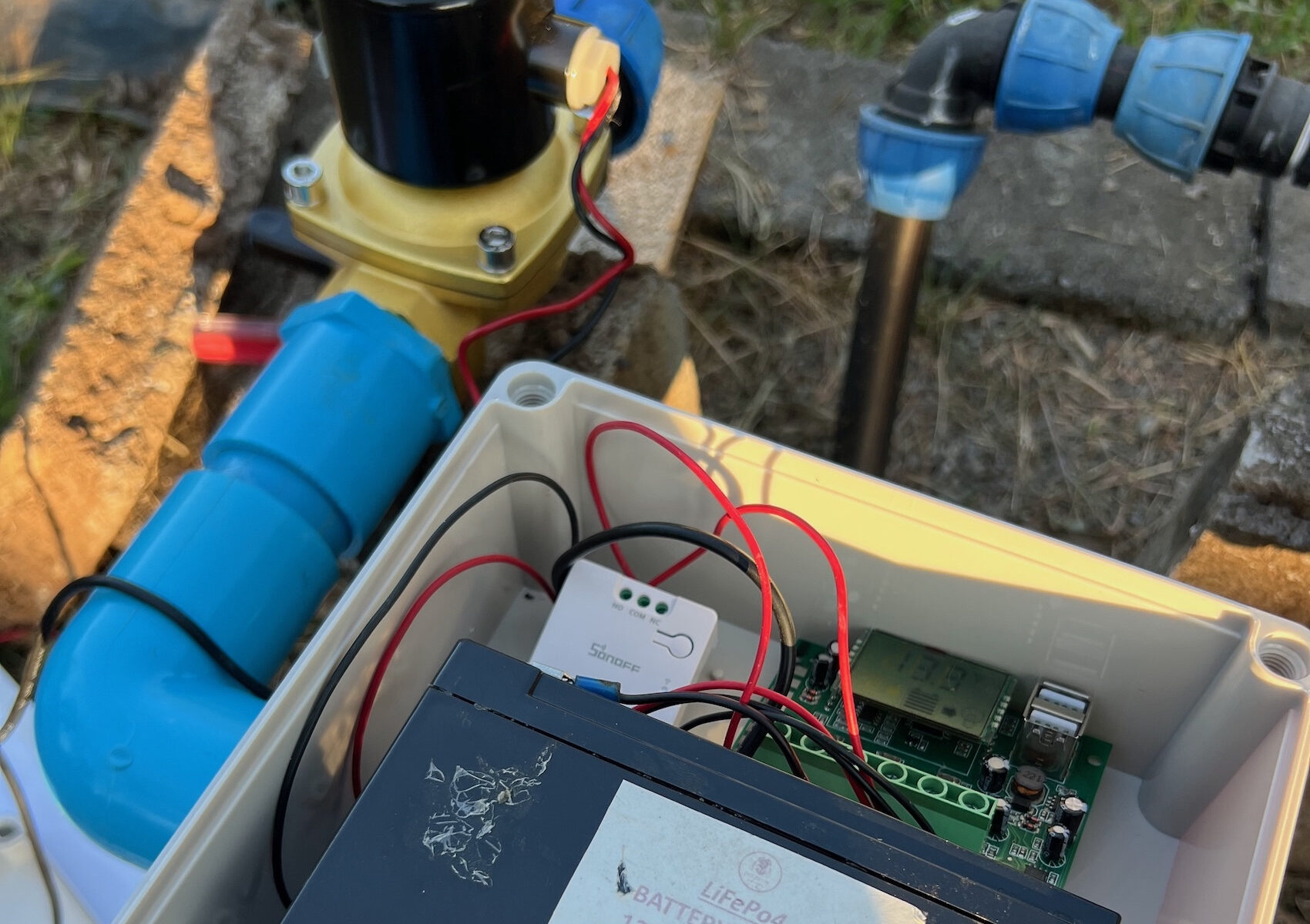 SONOFF MINI-D Review